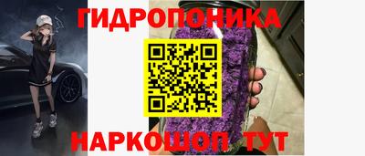 дурь Тула