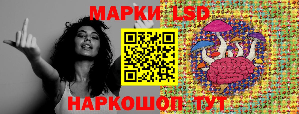Марки NBOMe 1,8мг  Вход с VPN  цены наркотик  Марки 25I-NBOMe  Камышлов  Марки NBOMe 1,8мг 