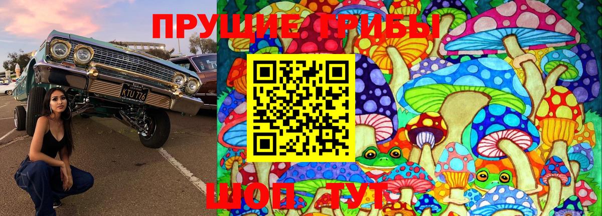 Псилоцибиновые грибы ЛСД Камышлов