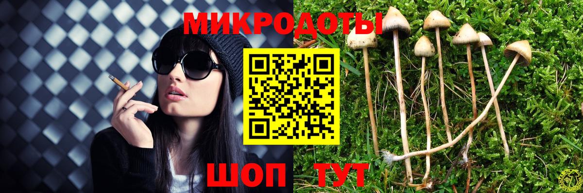 Галлюциногенные грибы GOLDEN TEACHER  Вход с VPN  Камышлов 